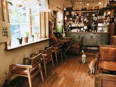 -懒鱼时光馆(沙坪坝店)