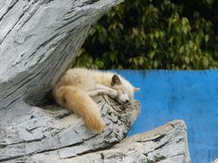 -杭州野生动物世界