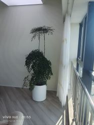 -HEYAN荷妍专业脱毛连锁机构