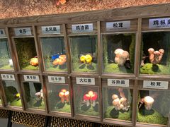 -天津万象城