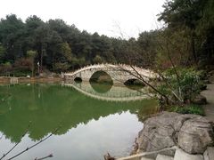 -铁山坪森林公园