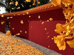 -龙湖杭州滨江天街