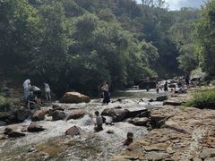 -广州白江湖森林公园