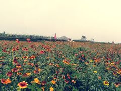 -君乐宝优致牧场