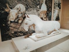 -宁夏博物馆