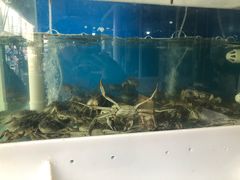 -众彩物流水产市场