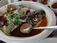 -陶缘一号·四季缘·老字号顺德菜·户外婚礼家宴(西滘店)