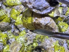 -聚盛源蒸汽海鲜火锅烤肉自助(巨川金海岸购物广场店)