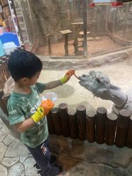 -宝燕乐园(闵行旗舰店)