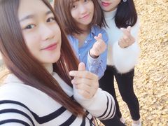 -千年银杏谷文化旅游区
