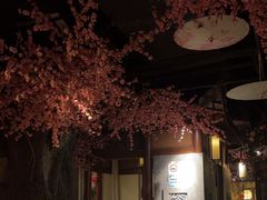 -韵秋荷(宝山龙湖天街店)