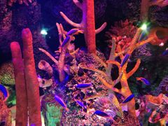 -沈阳海洋探索中心