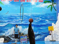 -左海海底世界
