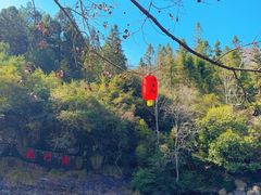 -石台牯牛降景区