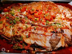 海鲈鱼-炉鱼(萧山万象汇店)