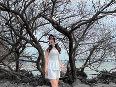 -宝安西湾红树林湿地公园