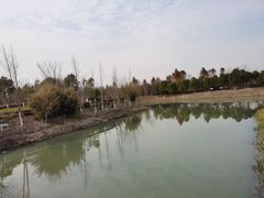 -柳鹭田园区