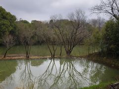 -西溪国家湿地公园