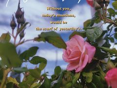 -名花谷生态庄园