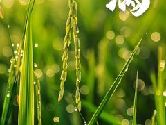 -今日艺术汇书店