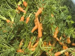 -传统菜农庄(皇姑路店)