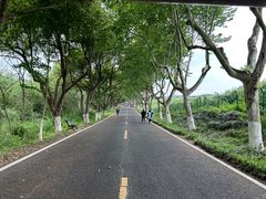 -宜兴龙背山森林公园