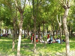 -嘉北郊野公园北游客中心-地上停车场