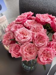 -JNK皮肤管理中心