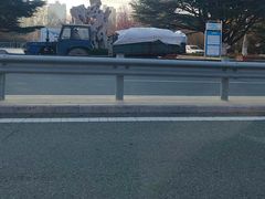 -鉴湖国家城市湿地公园