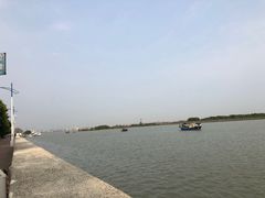 -大湾区中央湿地公园-十九涌