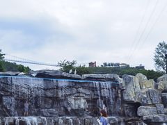 -铜川市金锁关石林