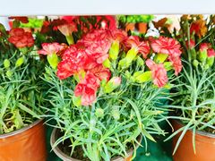 -大润发(勤业店)