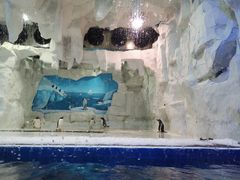 -华夏文旅海洋公园