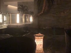 -和园景逸大酒店朗月汤泉