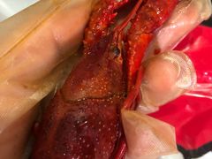 -龙虾风暴(松江店)