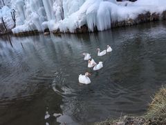 景点-沕沕水生态风景区