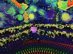 -天津梵高星空艺术馆(天河城旗舰店)