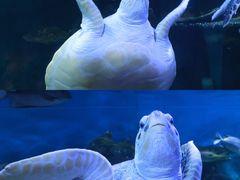 -华夏文旅西安度假区