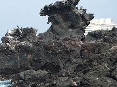 -龙头岩(Dragon Head Rock)