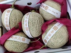 -西郊国际农产品交易中心