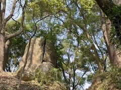 -青芝山风景名胜区