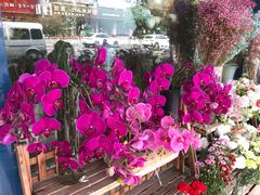 -亭亭鲜花店(中山北路店)
