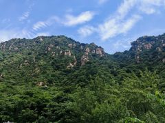 -大岭沟猕猴桃谷风景区