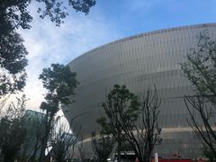 -成都金融城演艺中心