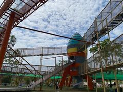 -空港花田景区