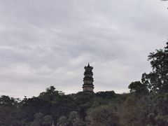 -惠州泗洲塔