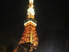-东京塔海贼王主题公园