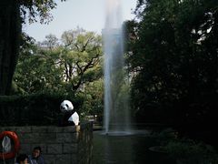 -九龙公园