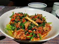 香菜炒牛肉-壹盏灯(蚂蚁工房店)