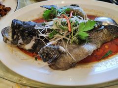 红烧老虎斑-陆壹捌餐厅(五大道店)